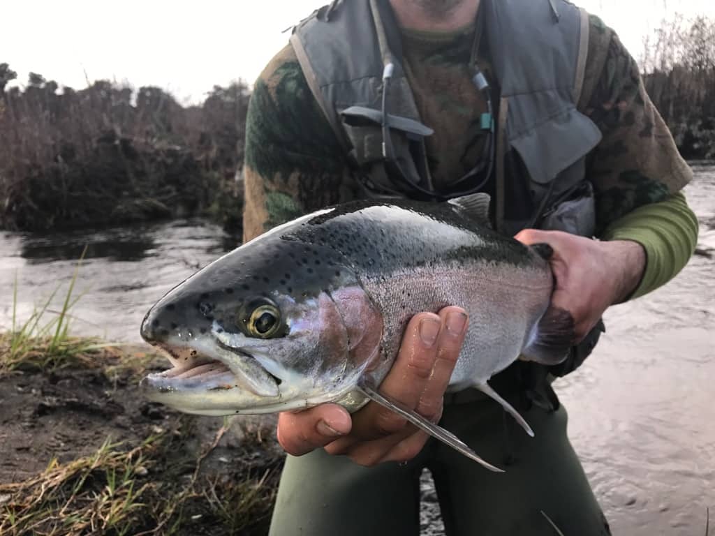 Tauranga Taupo Winter Fishing Report